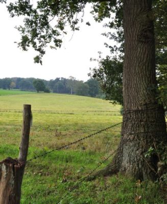 Uelsen-paarse-route-28-940x624-1