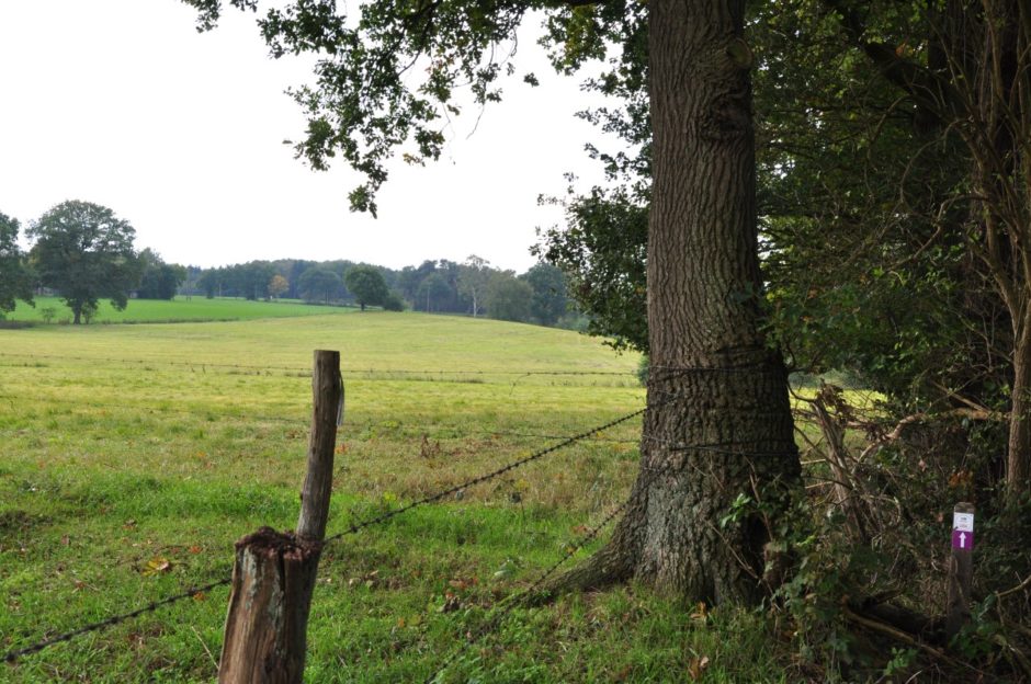 Uelsen-paarse-route-28-940x624-1